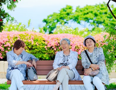 安心と快適が揃うサービス付き高齢者住宅、親の未来をもっと素敵に